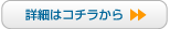 �ڍׂ̓R�`������